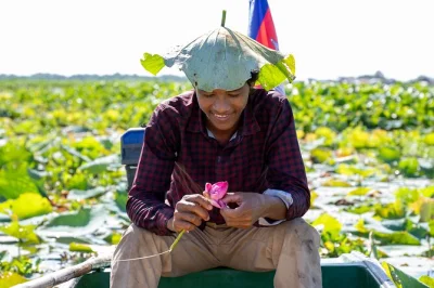 Découvrez la soie de lotus à siem reap, glissez en bateau sur les champs fleuris et créez vos propres pièces avec des artisans khmers. navette incluse.