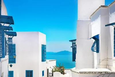 Step into tunis’ winding medina, wander ancient carthage, and soak up sidi bou said’s blue-and-white charm on a private day trip with lunch and hotel pickup.