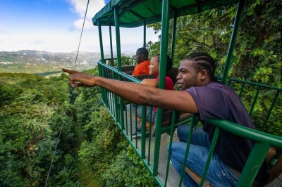 Feel the rainforest air on st lucia’s aerial tram, zipline & hiking tour. includes hotel pickup, expert guides & time to pause for a drink at the end.