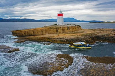 Step aboard in hobart for a small group derwent river cruise to iron pot lighthouse & betsey island, with stories from a local guide. includes all-weather boat tour.