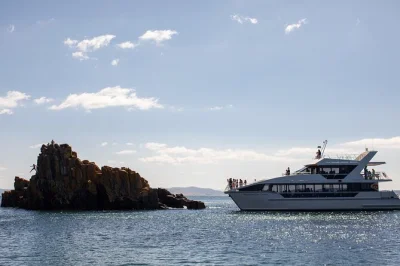 Savor tasmanian seafood, local wines, and a slow cruise from hobart to peppermint bay. includes lunch, luxury catamaran ride, and return transfer.