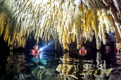 Nade com tartarugas selvagens em akumal, explore cenotes sagrados e relaxe com guia local. inclui transporte de tulum, playa del carmen ou riviera maya.