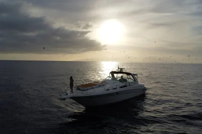 Feel the atlantic breeze on a 4-hour boat trip from puerto rico to mogan, with snorkeling, paddle surf, and a homemade canarian lunch included. small group, local crew.