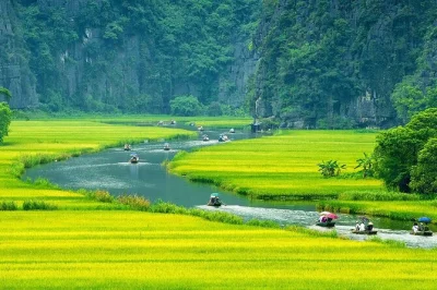Leave hanoi for a private day trip to ninh binh—row through tam coc caves, cycle village roads, and visit ancient hoa lu & bai dinh pagoda. includes pickup & lunch.