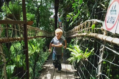 Feel the real koh samui on a private 4x4 day trip with off-road drives, secret buddha garden, waterfalls, and rope bridge cafe. includes hotel pickup.