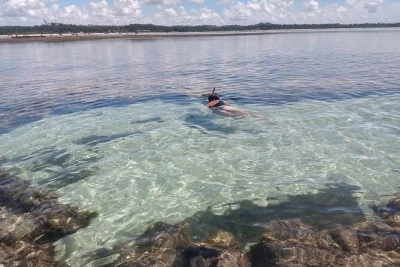 Feel the real alagoas on a private day trip to saint michael of the miracles, with air-conditioned transport, local stops, and easy pickup—relaxed and personal.