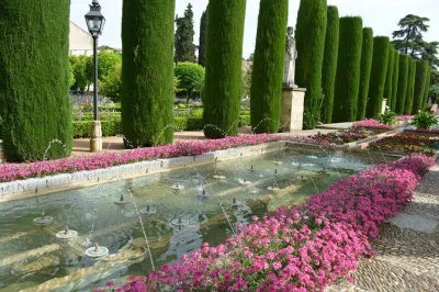 Step into córdoba’s layered history on a guided walking tour with skip-the-line entry to the mosque-cathedral, alcázar & synagogue. includes tickets & expert guide.