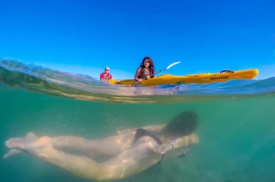 Curious kids, calm waters, and cormorants—paddle abel tasman’s coast to split apple rock with a local guide. includes all kayak gear and returns by midday.