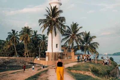 Feel the sea breeze at galle fort, meet rescued turtles in kosgoda, and drift through maadu river’s mangroves—all with private transport from colombo or negombo.