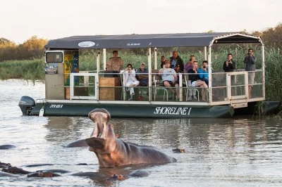 Watch hippos, crocodiles, and wild birds up close on a small-group st lucia boat cruise. includes park entry and local ranger guide. family-friendly and stroller accessible.