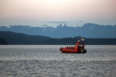 Siente la emoción del mar salish cerca de campbell river en un zodiac, avistando ballenas, leones marinos y delfines con guía naturalista. incluye equipo y snack.