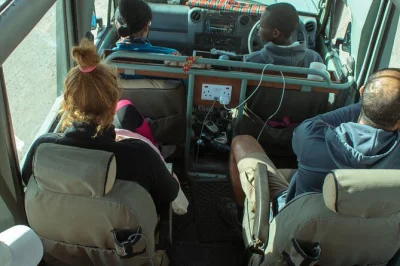 Découvrez les éléphants à tarangire, explorez le cratère du ngorongoro et partez en safari à pied près du lac manyara. transfert hôtel, repas et guide expert inclus.
