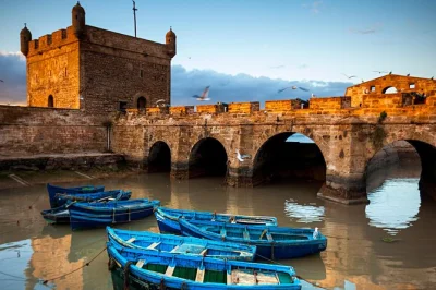 Feel the sea breeze in essaouira’s medina, watch goats in argan trees, and wander the old port on a full-day trip from marrakech with pickup included.