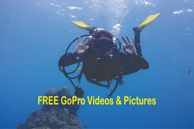 Plongée débutant à panama city avec un moniteur padi à st. andrews, sans besoin de savoir nager. matériel complet, photos gopro incluses, idéal en groupe.