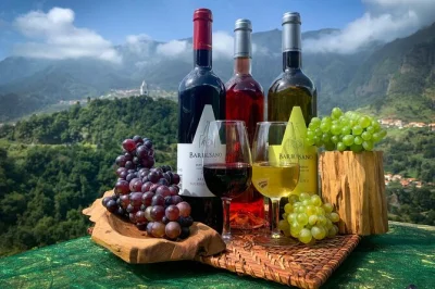 Erlebe den nervenkitzel auf dem glas-skywalk am cabo girão, probiere madeira-weine in den weinbergen von são vicente und koste regionalen honig – abholung in funchal inklusive.