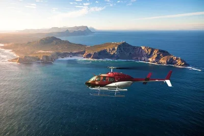 Feel the rush of a cape point helicopter tour from cape town, with live commentary, sparkling wine, and return transport to the v&a waterfront included.