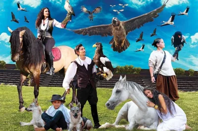 Feel the rush of eagles overhead at falconeria locarno, watch birds of prey up close, enjoy a live show with reserved seating, and skip the ticket line.