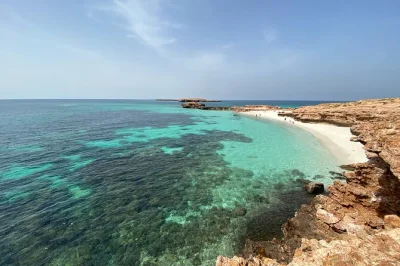 Swim with turtles, spot dolphins, and snorkel vibrant reefs at dimaniyat islands from muscat. includes gear, drinks, snacks, and local guide support.