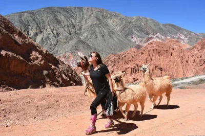 Descubre purmamarca caminando con llamas, charlando con locales y aprendiendo sobre plantas nativas. guía privado, rutas flexibles y llamas amigables.