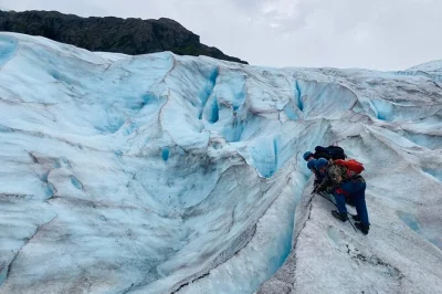 Descubre el glaciar exit en seward con guía, equipo incluido y almuerzo tipo deli. camina sobre hielo azul y vive la naturaleza salvaje de alaska.