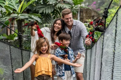 Erlebe, wie lorikeets auf deinem arm landen, entdecke seltene bali-stare aus nächster nähe und genieße die shows im bali bird park – inklusive aller fütterungen und vorstellungen.
