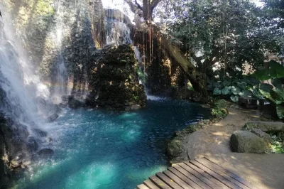 Wake up to chiang mai’s colors—explore the blue temple, wander dantewada’s flower gardens, and climb bua tong sticky waterfall, with lunch and all entry fees included.