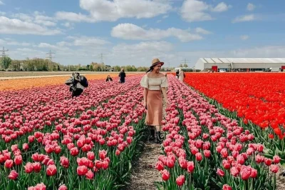Scopri i colori dell’olanda in una gita da amsterdam con visita alla fattoria di tulipani, crociera tra mulini e ingresso a keukenhof. include pick-up e guida locale.