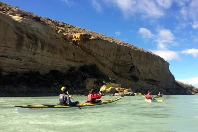 Sinta a natureza selvagem da patagônia em um dia de caiaque e caminhada pelo rio la leona saindo de el calafate, com transporte, guia local e pausa para lanche entre árvores petrificadas.