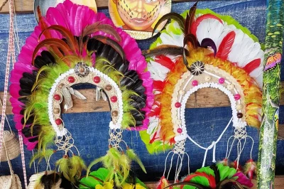 Siente la magia del amazonas cerca de manaos: observa delfines salvajes, contempla el encuentro de aguas y disfruta un almuerzo en una comunidad indígena. incluye recogida en hotel.