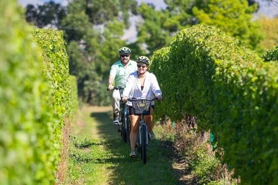 Wake up in renwick, hop on a comfy bike, and taste marlborough’s wines at your own pace. includes shuttle pickup, cellar door map, and emergency support.