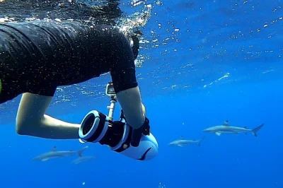 Swim tahiti’s reefs by sea scooter, spot turtles and rays, explore wrecks with a local guide. small group tour includes snacks, photos, and all snorkel gear.