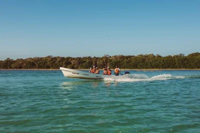 Vivi una giornata a sian ka'an con pick-up in hotel a tulum, una tranquilla navigazione tra mangrovie, avvistamento di animali e snorkeling sulla barriera corallina, con pranzo vista laguna.