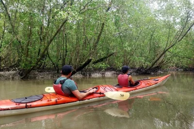 Partez de paraty pour une balade en kayak guidée à travers mangroves, îles et plages désertes. matériel complet et guide expert inclus. groupes réduits.