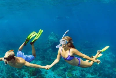 Swim with turtles, spot whale sharks in summer, and explore vibrant coral reefs on a daymaniyat islands snorkeling trip. includes permits, gear, and snacks.