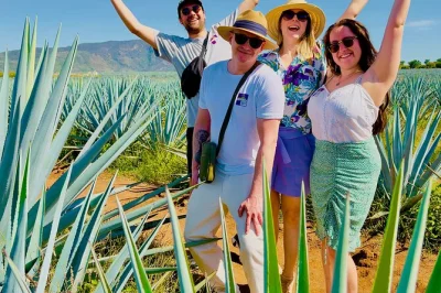 Breathe in the agave valleys, explore guachimontones pyramids, and taste small-batch tequila with a local guide. includes all entries, transport, and tasting.