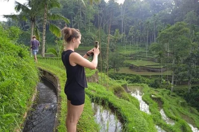 Ubud entdecken: reisterrassen, alte tempel und bunter kunstmarkt auf privater bali-tour. inklusive hotelabholung, eintritt und erfahrener guide. jetzt buchen!