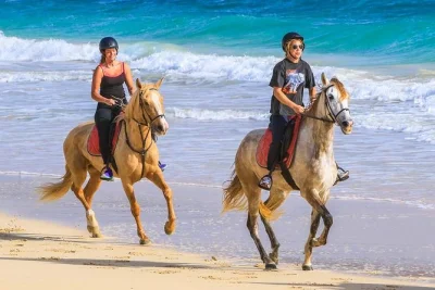 Feel the atlantic breeze as you ride horses along sal island’s beaches, salt mines, and dunes. small groups, local guides, and hotel pickup included for a relaxed day.