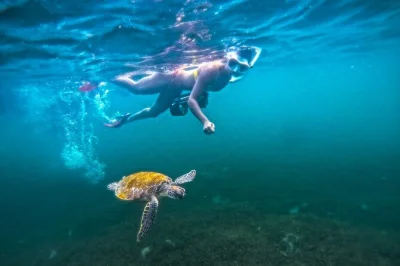 Feel the rush of jet snorkeling in san juan’s clear waters, glide with sea turtles, and capture it all on video—guided tour includes gear and bottled water.