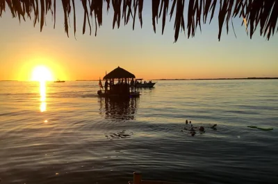 Découvrez la douceur des keys en floride lors d’une croisière sur un bar tiki flottant à key largo, avec musique, pauses baignade et vues magiques au coucher du soleil. boissons fraîches et guid