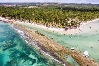 Découvrez la tranquillité de pernambuco avec une balade en catamaran à praia dos carneiros, un bain d’argile dans les mangroves, des vues sur la rivière et une visite de l’église historique. 