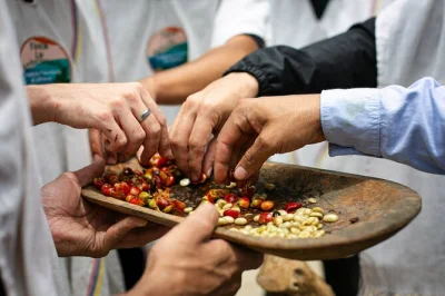 Arrive by horseback to a family-run coffee farm near medellín, taste fresh brews, try sugar cane processing, and share lunch with locals—includes pickup.