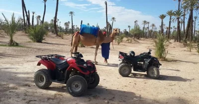 Découvrez marrakech autrement avec une balade en quad et à dos de chameau dans la palmeraie, incluant transfert hôtel et pause thé à la menthe sous les palmiers. réservez votre demi-journée d�
