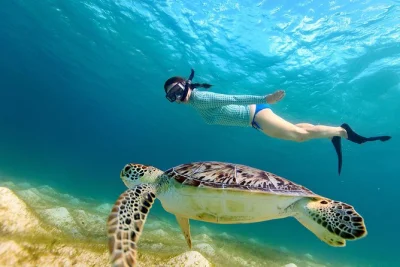 Feel the thrill of snorkeling in san juan’s marine sanctuary, spot sea turtles up close, and take home underwater videos. includes all gear and bottled water.