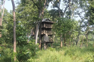 Sleep in a jungle tower in chitwan, spot rhinos on a jeep safari, canoe the river, and share stories with your guide—includes meals, transfers, and local dance show.