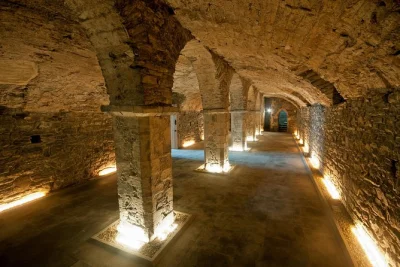 Step beneath waterford’s streets into medieval vaults, see the cloth of gold vestments, and wander europe’s only museum built over two national monuments. includes entry ticket.