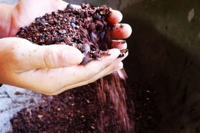 Découvrez les traditions du cacao, café et canne à sucre du costa rica lors d’un tour pratique avec guide local, dégustation de chocolat et transport inclus depuis votre hôtel.