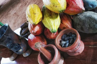 Découvrez le costa rica autrement avec un tour pratique de chocolat, café et canne à sucre près de la fortuna. goûtez, broyez, savourez et partagez avec un guide local. entrée incluse.