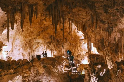 Descubra a mammoth cave em margaret river com um tour áudio autoguiado, veja fósseis de megafauna antiga e explore a floresta de karri. acesso para cadeirantes e fácil de reservar.