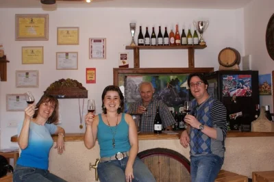 Tour privado de vinhos do beaujolais saindo de lyon. visite oingt, deguste 8 vinhos em 2 vinícolas, explore vilarejos medievais e a região das pedras douradas. reserve sua viagem de meio dia.