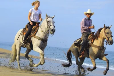 Scopri il lato selvaggio di sayulita con un giro a cavallo tra sentieri nella giungla, ranch locali e una spiaggia tranquilla. include transfer dall’hotel, degustazione di tequila e guide esperte.